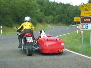 Sidecar dog