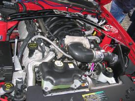Mustang engine bay