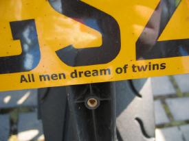 All men dream of twins