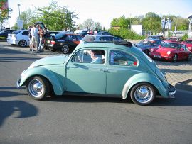 Old Beetle